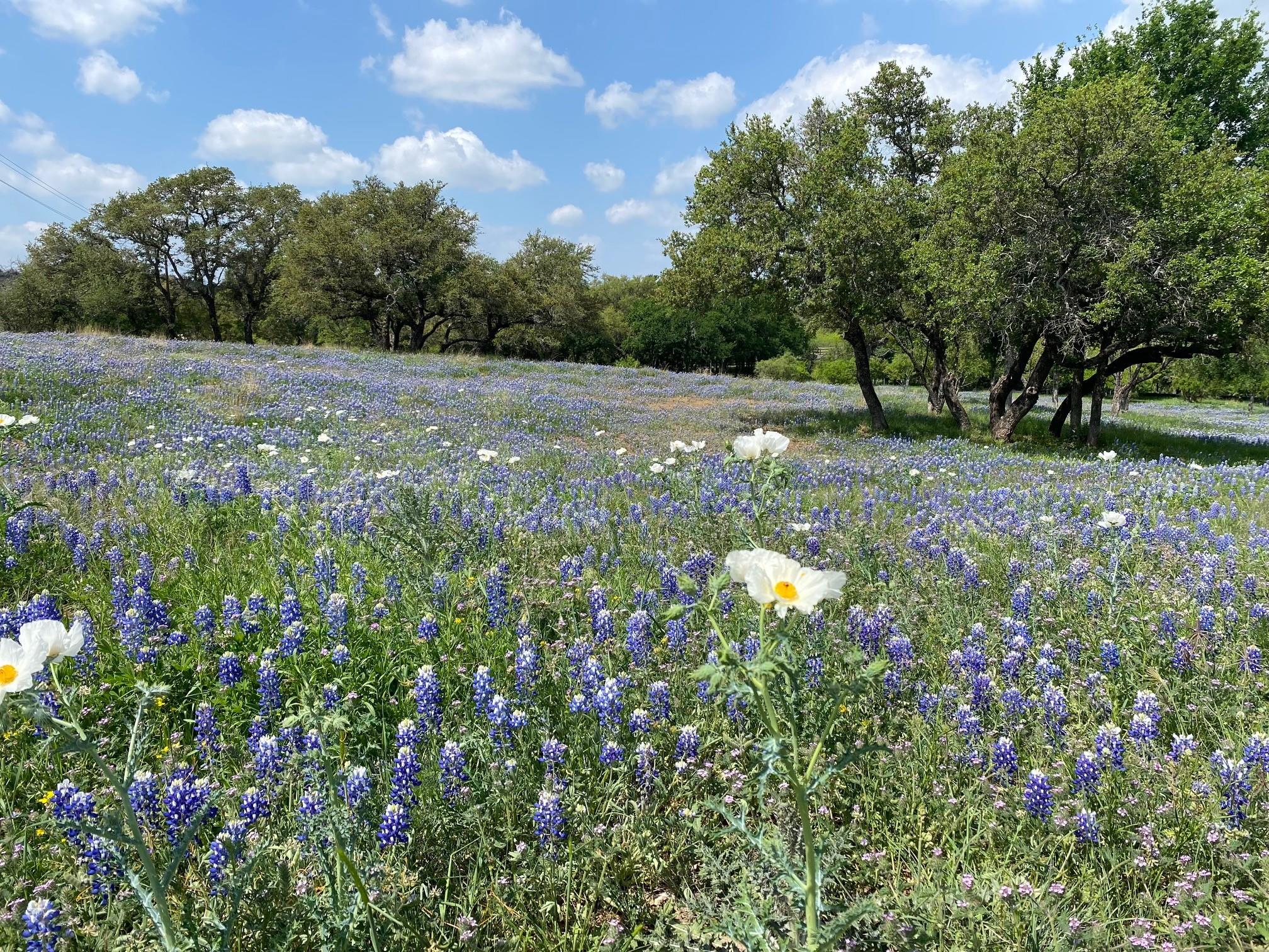 Lot 118 Overlook Pkwy, Horseshoe Bay, TX 78657