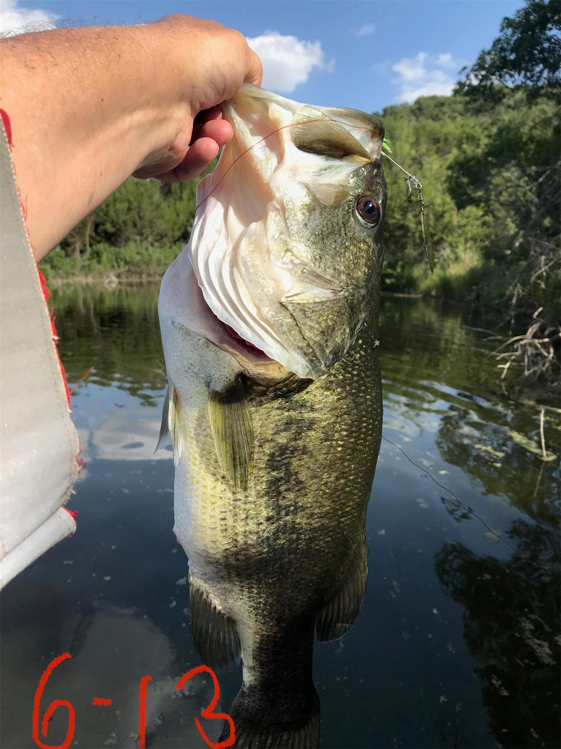 1519 Brushy Top Trl, Blanco, TX 78606