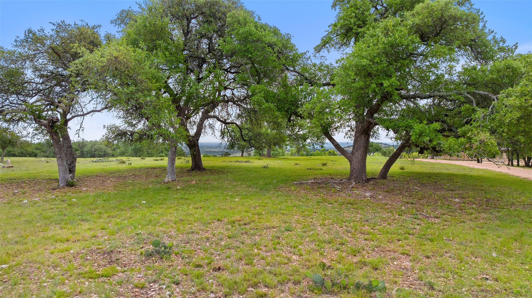 1519 Brushy Top Trl, Blanco, TX 78606