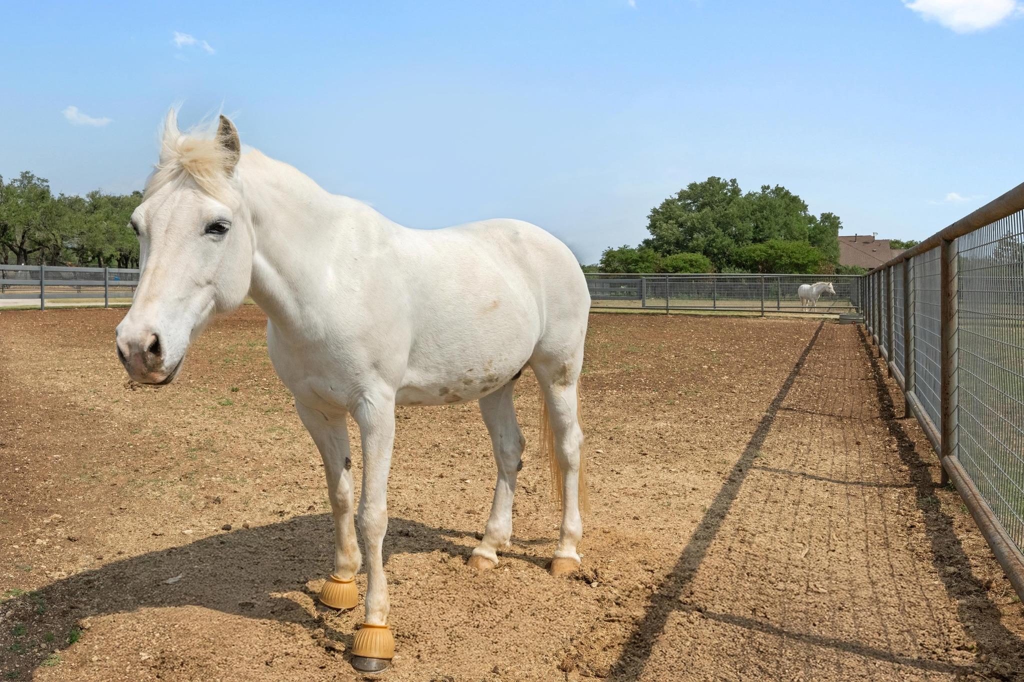 281 Colonial Affair, Austin, TX 78737