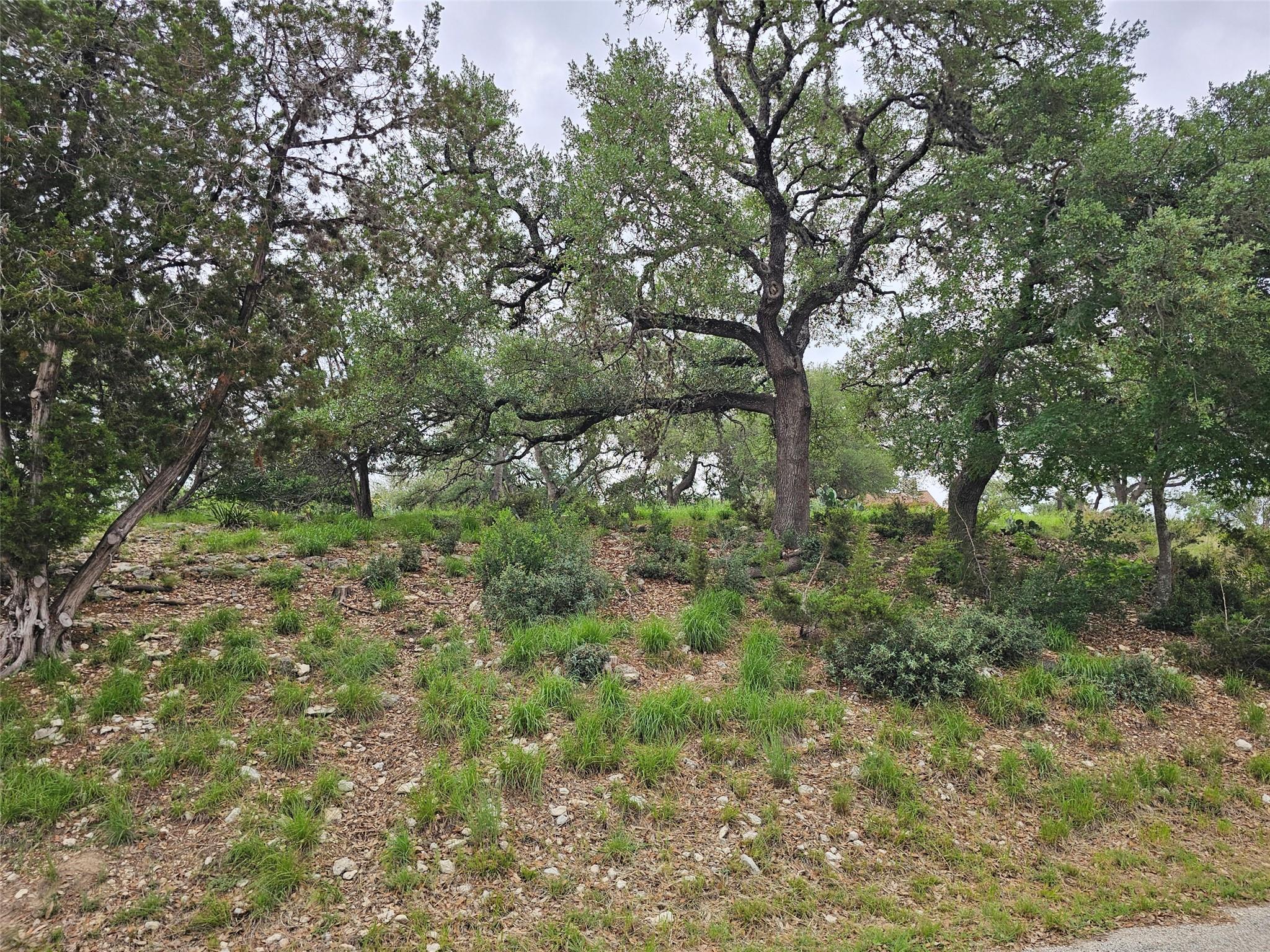 0000 Military Dr, Canyon Lake, TX 78133