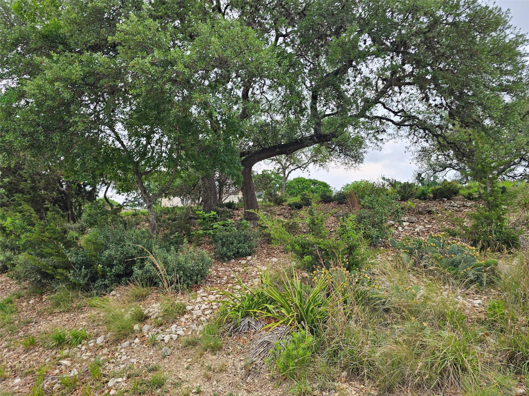 0000 Military Dr, Canyon Lake, TX 78133