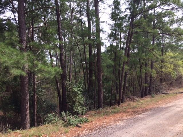 152 Molokini Dr, Bastrop, TX 78602