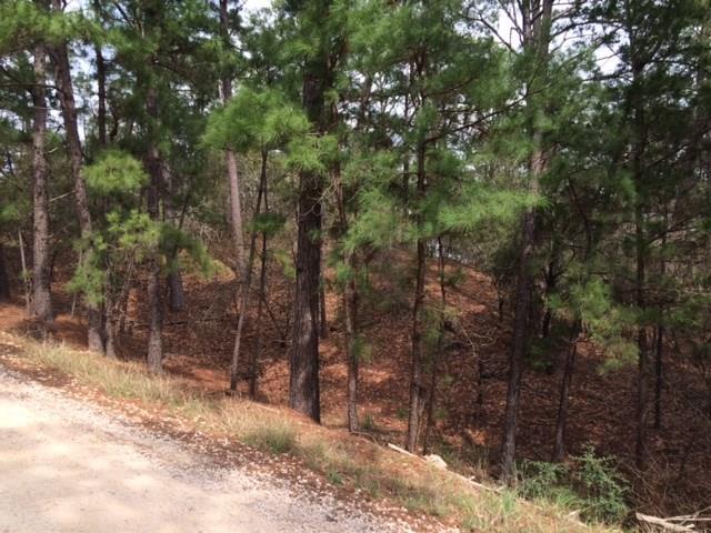 152 Molokini Dr, Bastrop, TX 78602