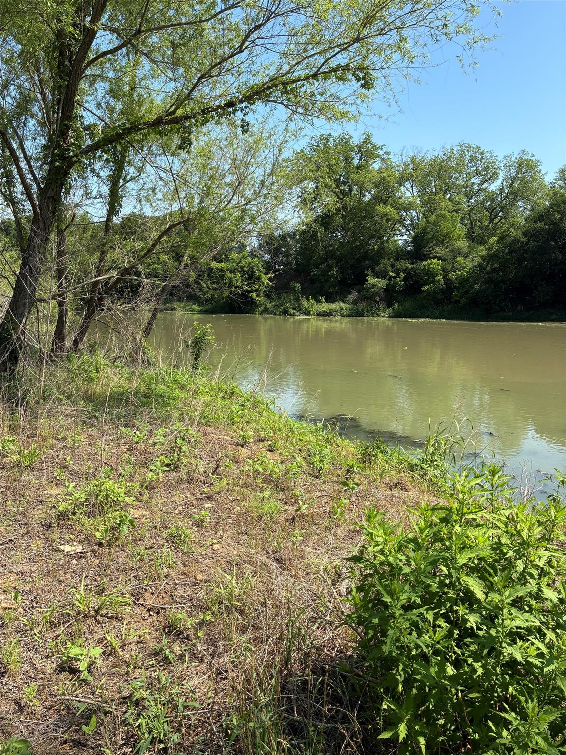 1411 Pecan Shrs, Smithville, TX 78957
