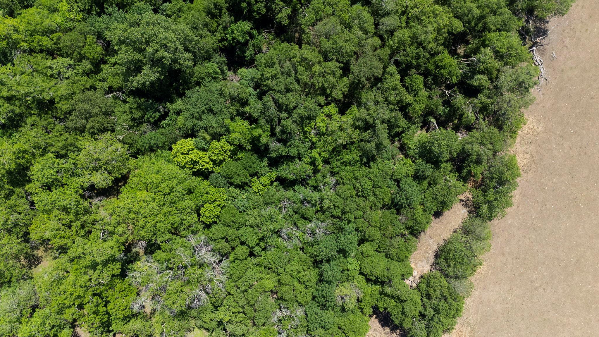 451 County Road 129, Hutto, TX 78634