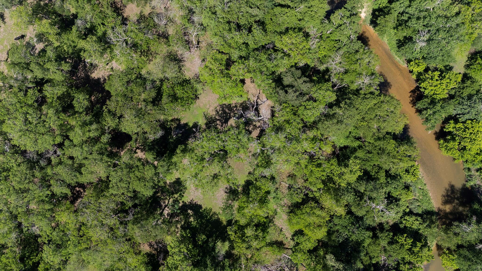 451 County Road 129, Hutto, TX 78634