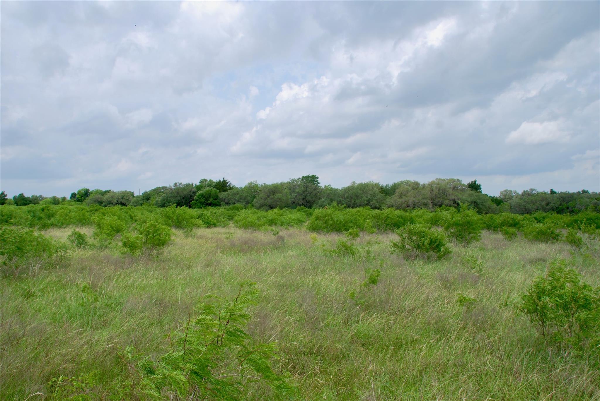 TBD N State Highway 95, Flatonia, TX 78941