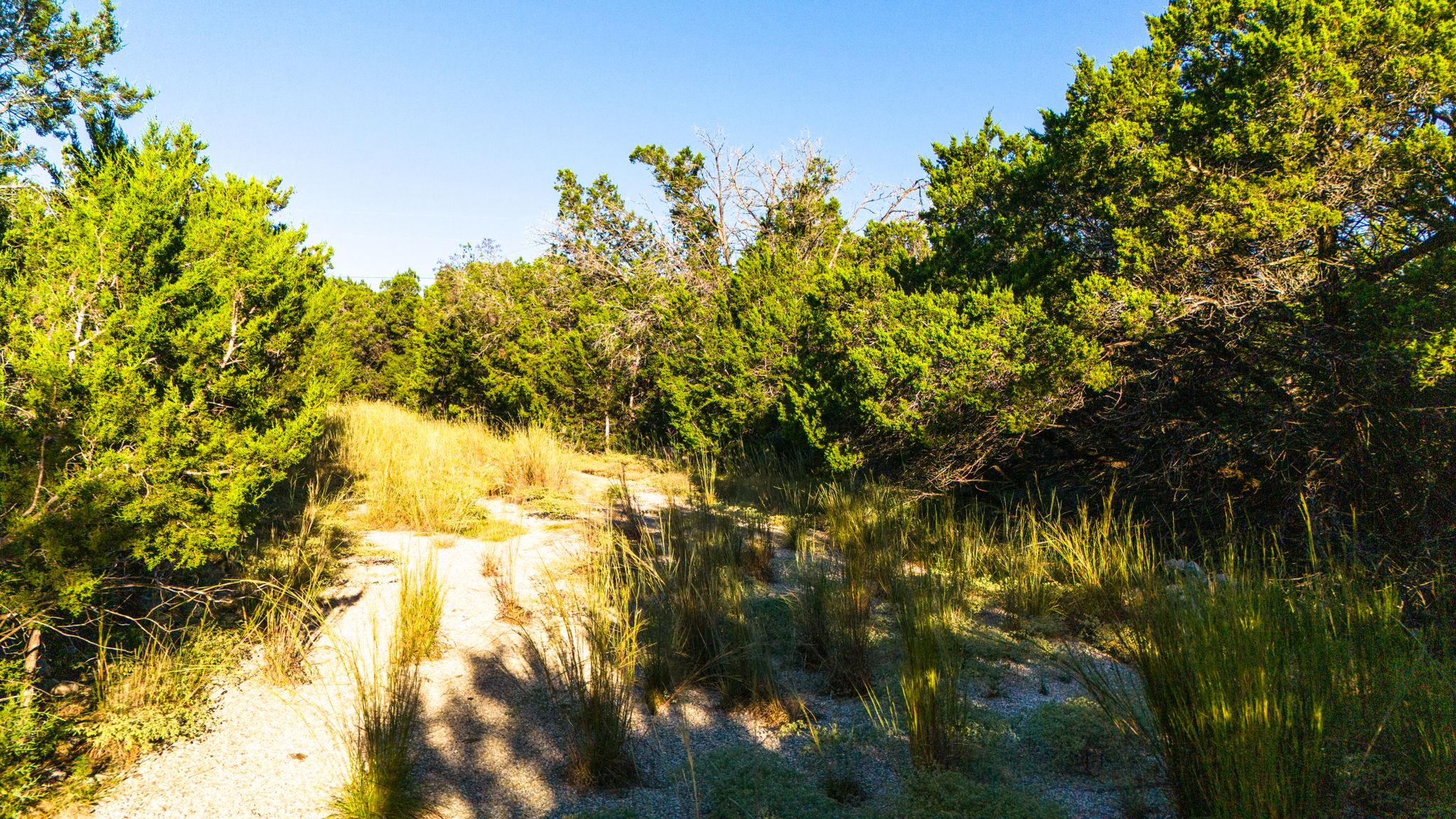 901 Days End Rd, Wimberley, TX 78676