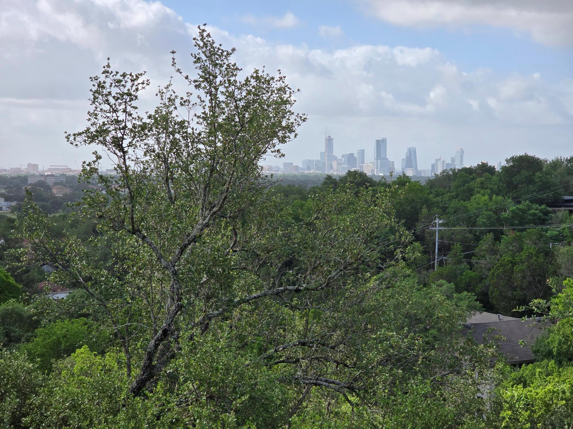 3403 Spanish Oak Dr, Austin, TX 78731