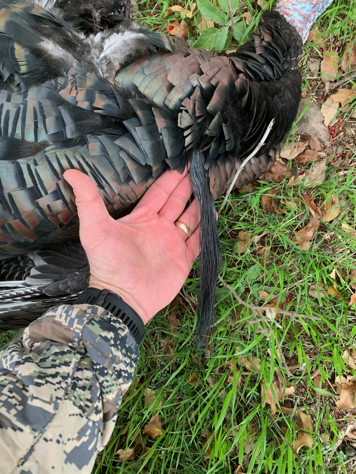 380 CR 262, Goldthwaite, TX 76844