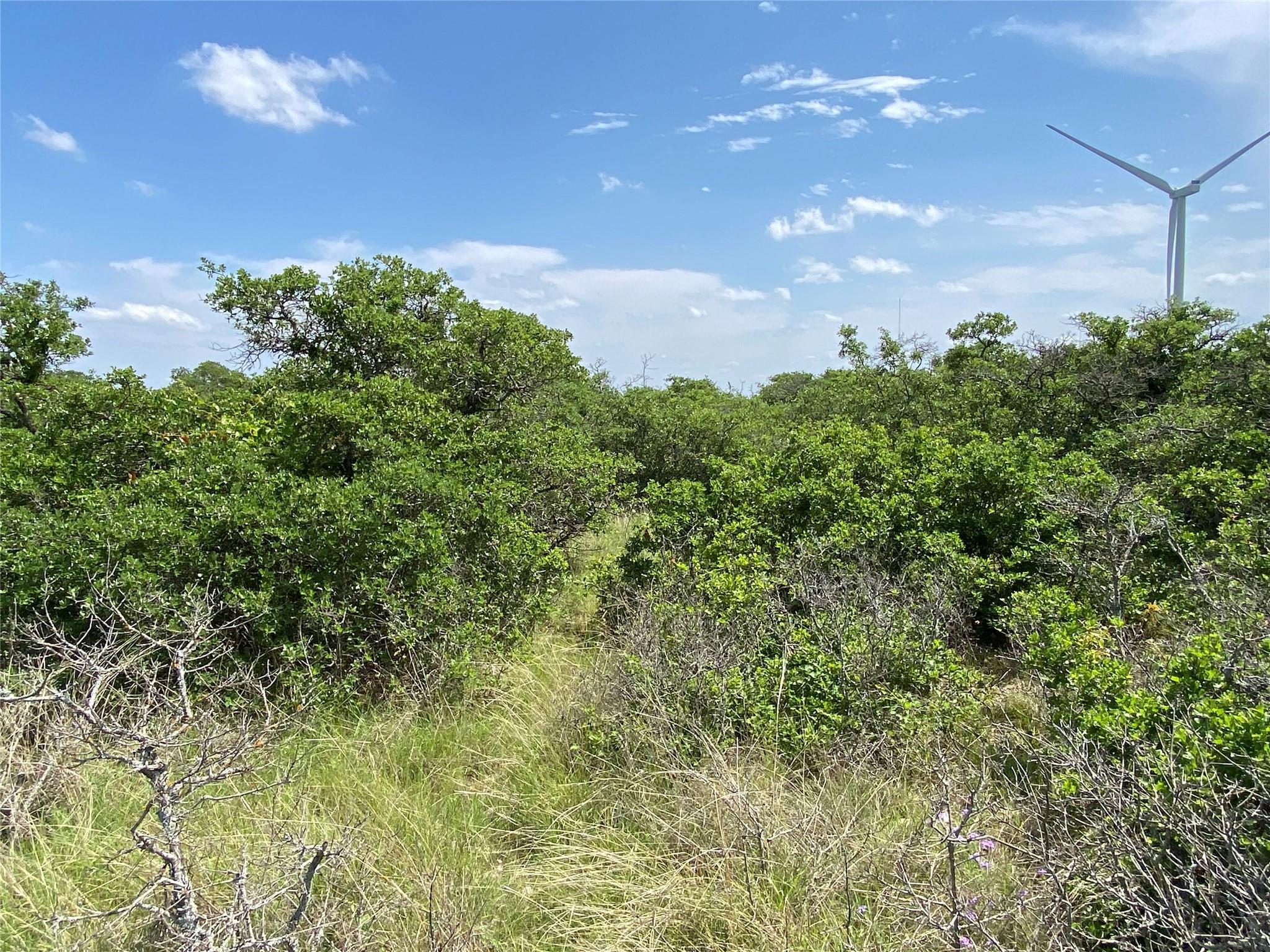 380 CR 262, Goldthwaite, TX 76844