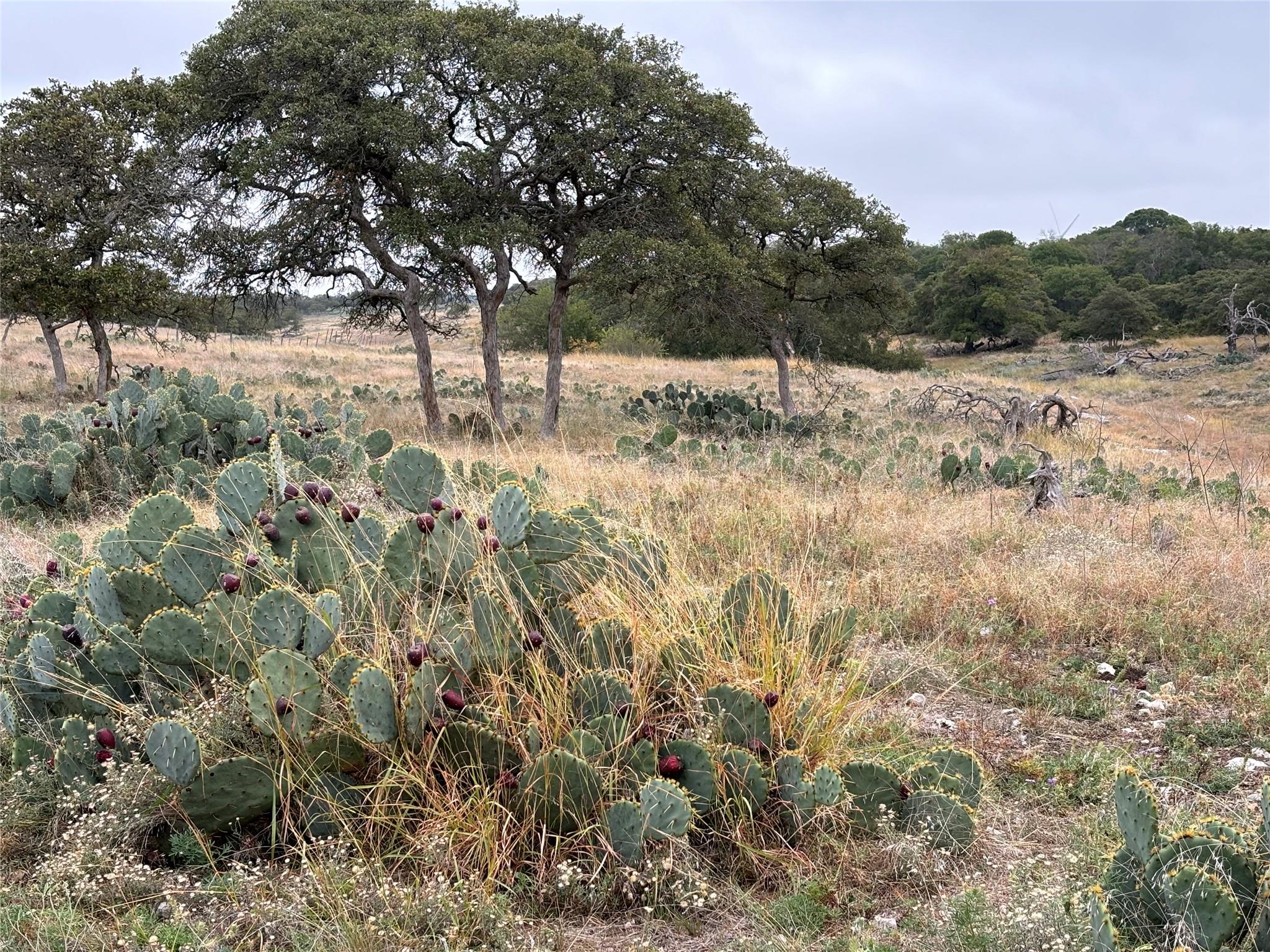 380 CR 262, Goldthwaite, TX 76844