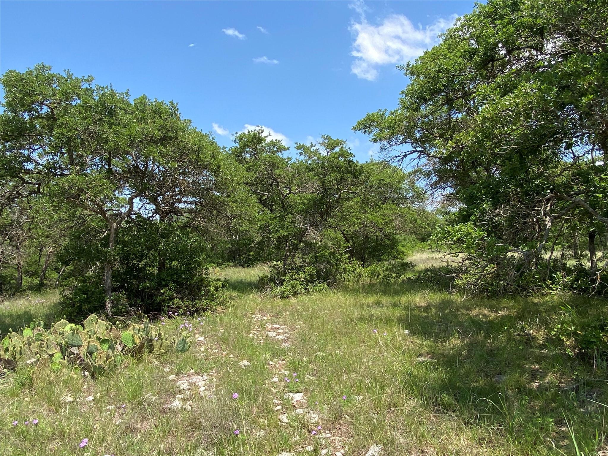380 CR 262, Goldthwaite, TX 76844