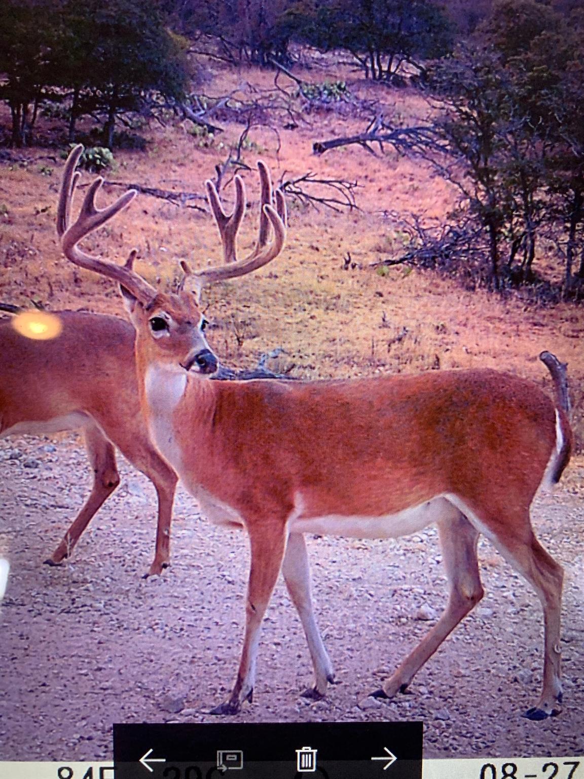 380 CR 262, Goldthwaite, TX 76844