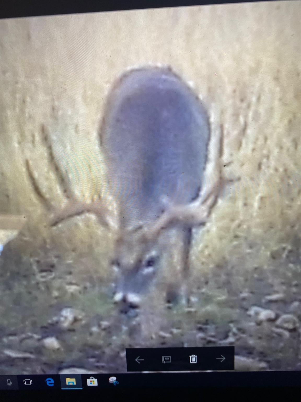 380 CR 262, Goldthwaite, TX 76844