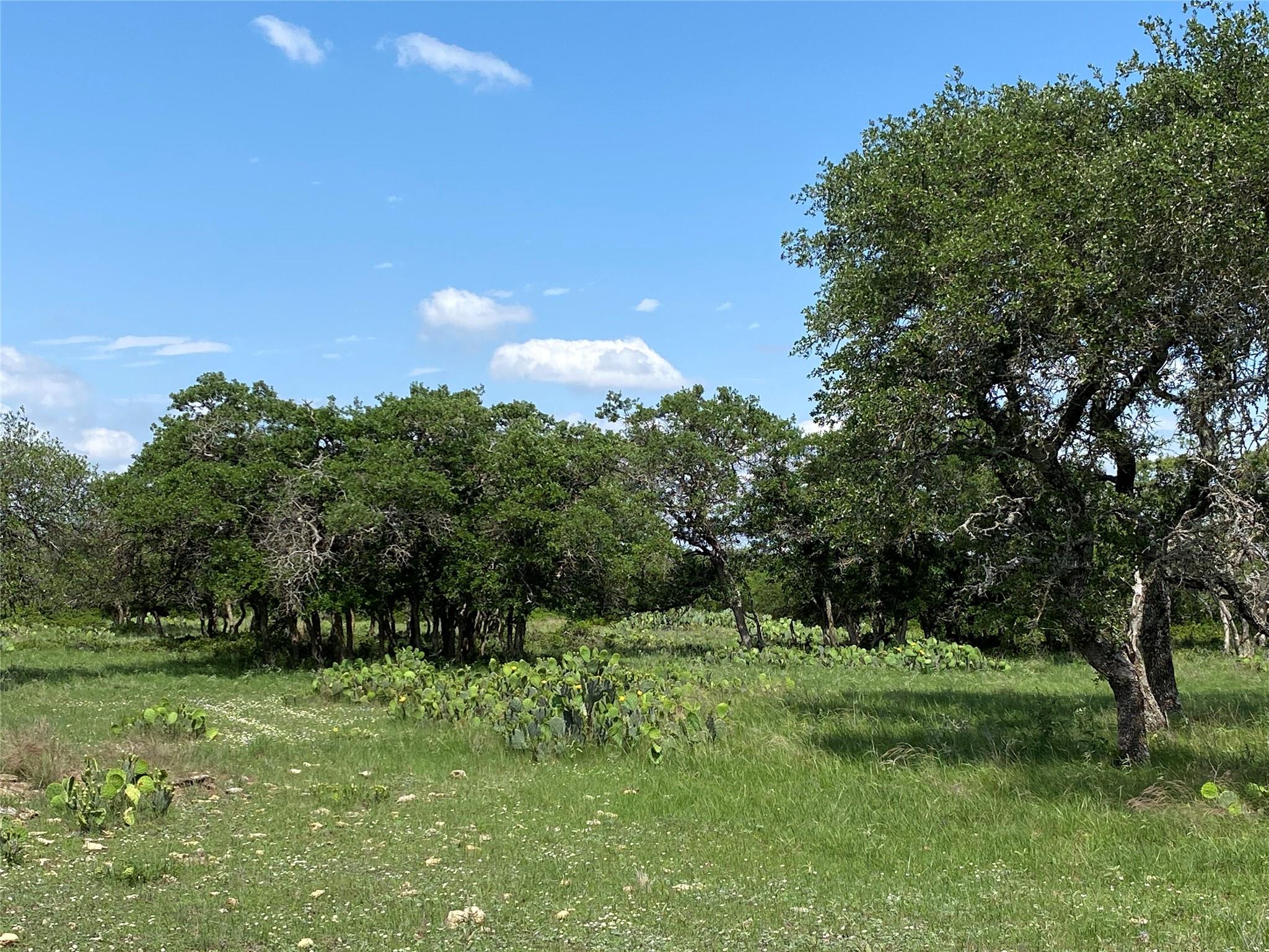 380 CR 262, Goldthwaite, TX 76844