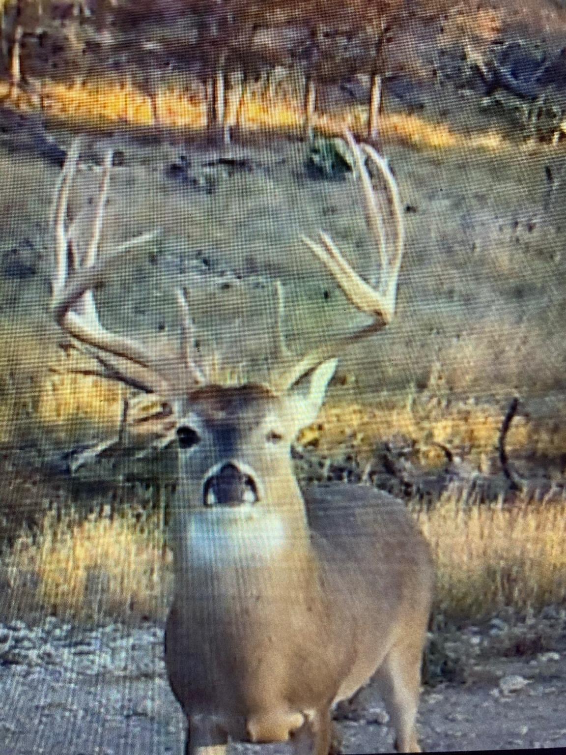 380 CR 262, Goldthwaite, TX 76844