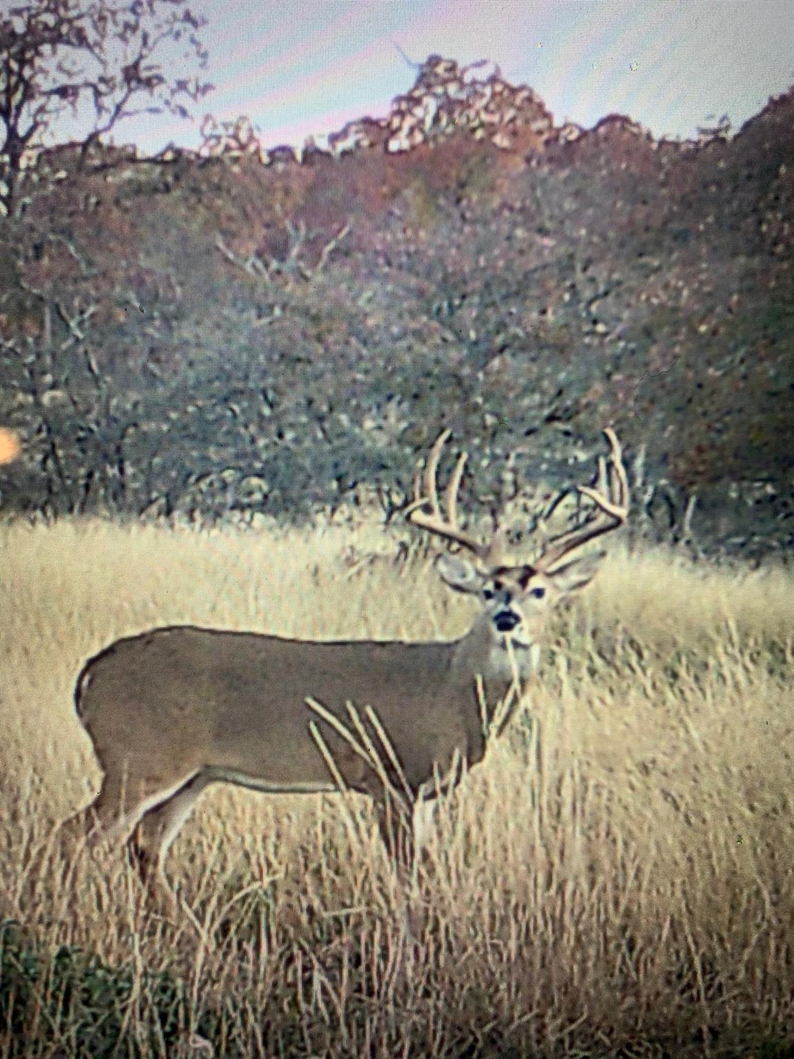 380 CR 262, Goldthwaite, TX 76844