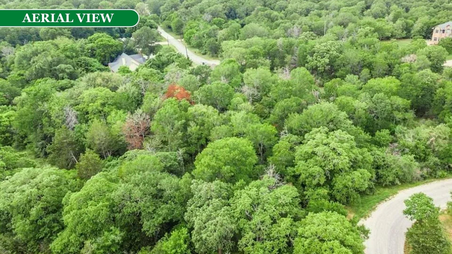 000 Kaanapali Ln, Bastrop, TX 78602