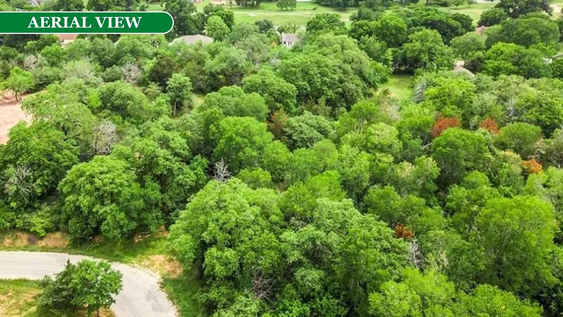 000 Kaanapali Ln, Bastrop, TX 78602