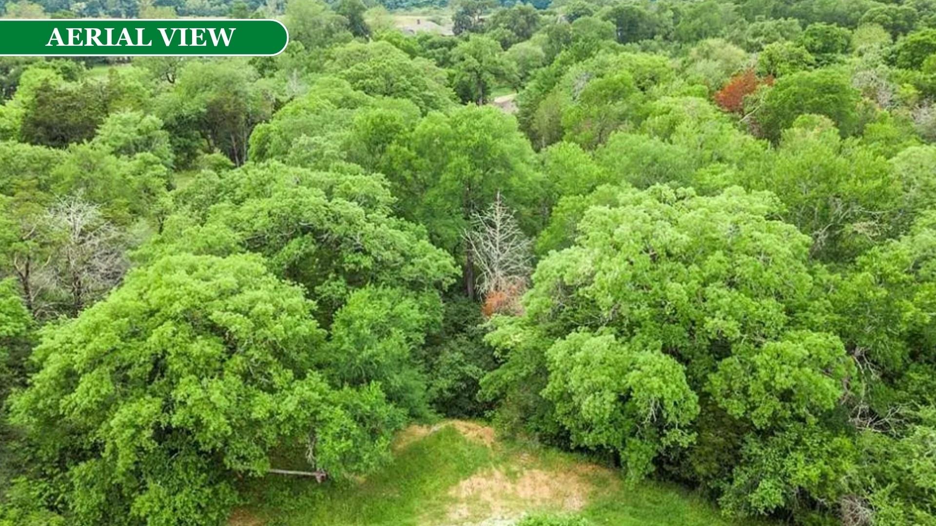 000 Kaanapali Ln, Bastrop, TX 78602