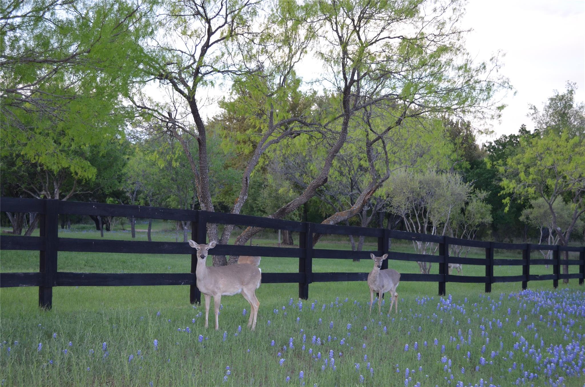 Lot 28A The Trails Pkwy, Horseshoe Bay, TX 78657
