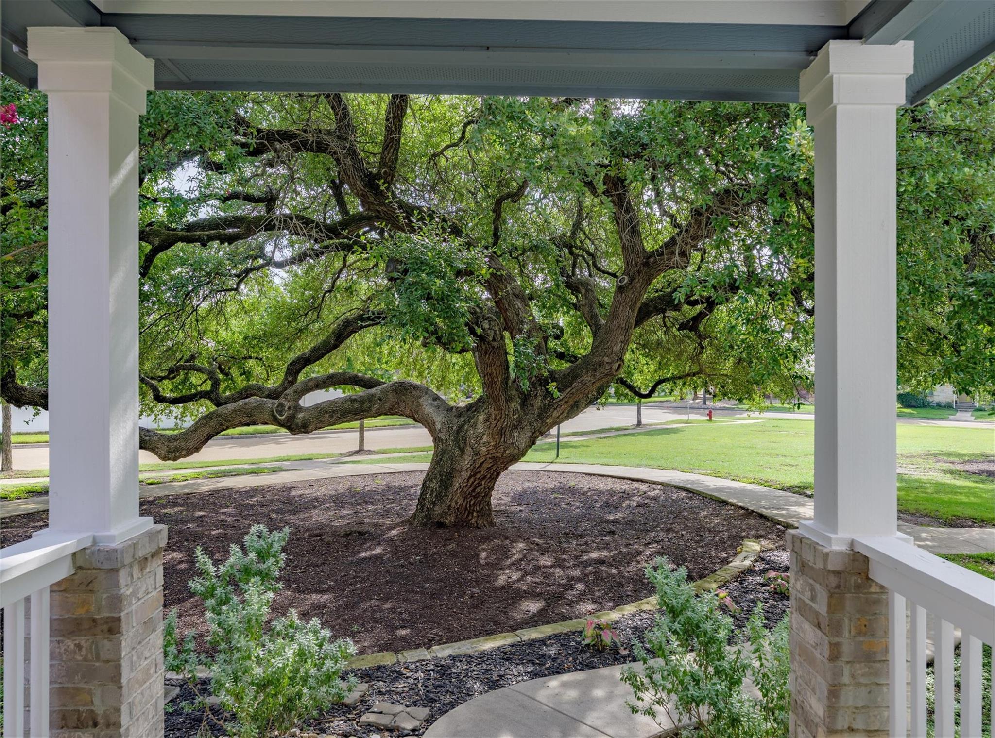 1706 Sandhills Dr, Cedar Park, TX 78613