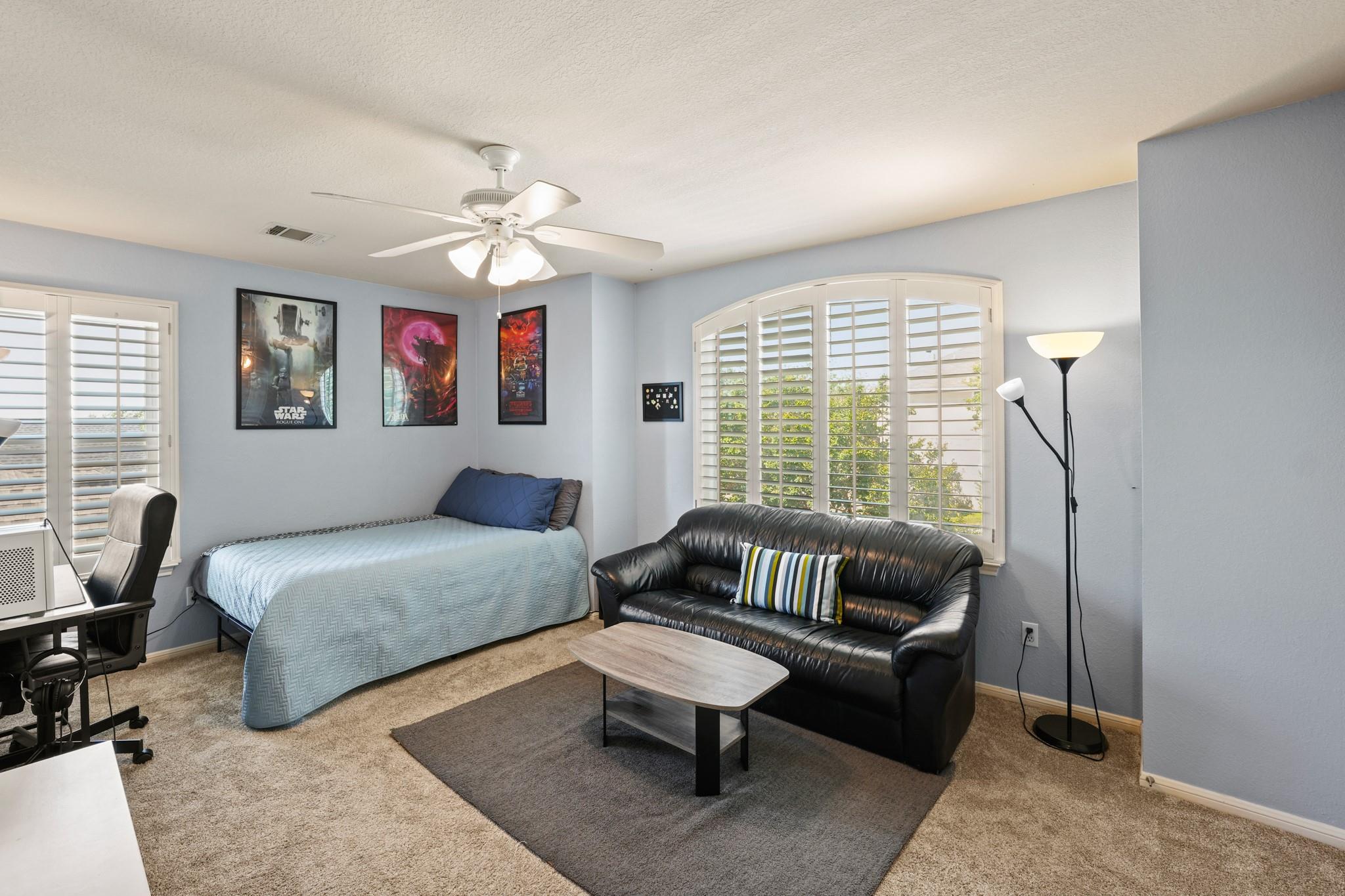 3725 Birdhouse Dr, Round Rock, TX 78665