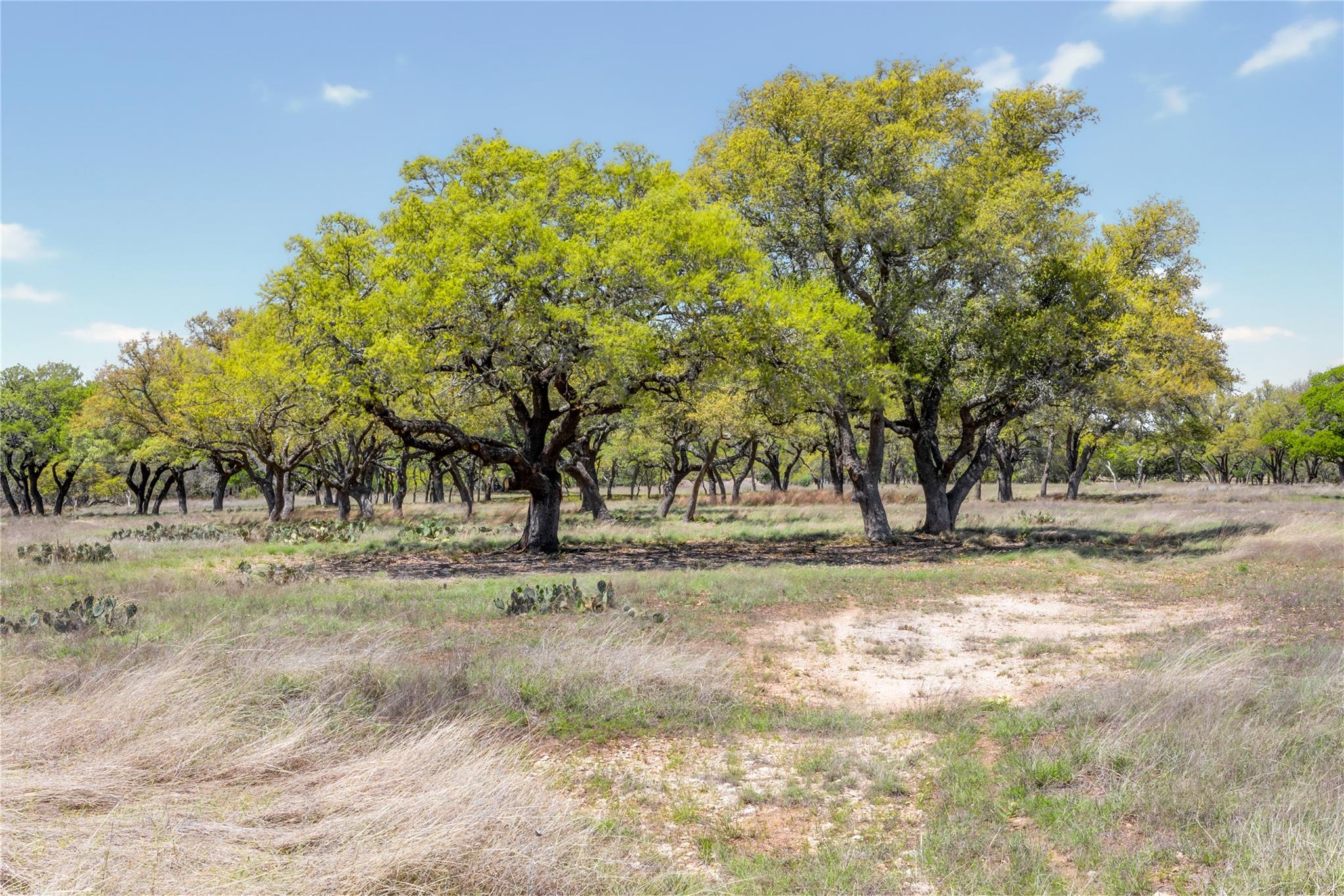 9695 W US 290 Highway, Hye, TX 78635