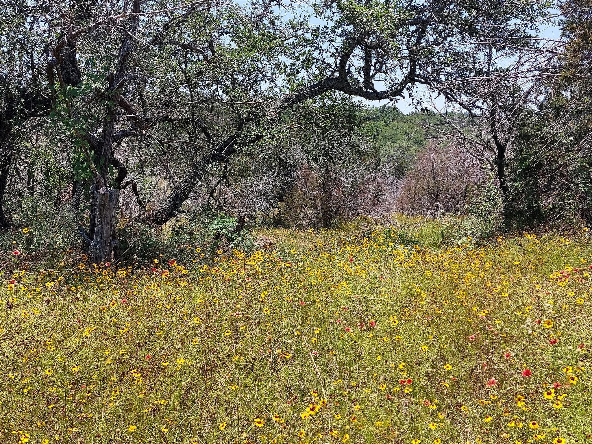 221 Yucca and adjoining lot Dr, Burnet, TX 78611