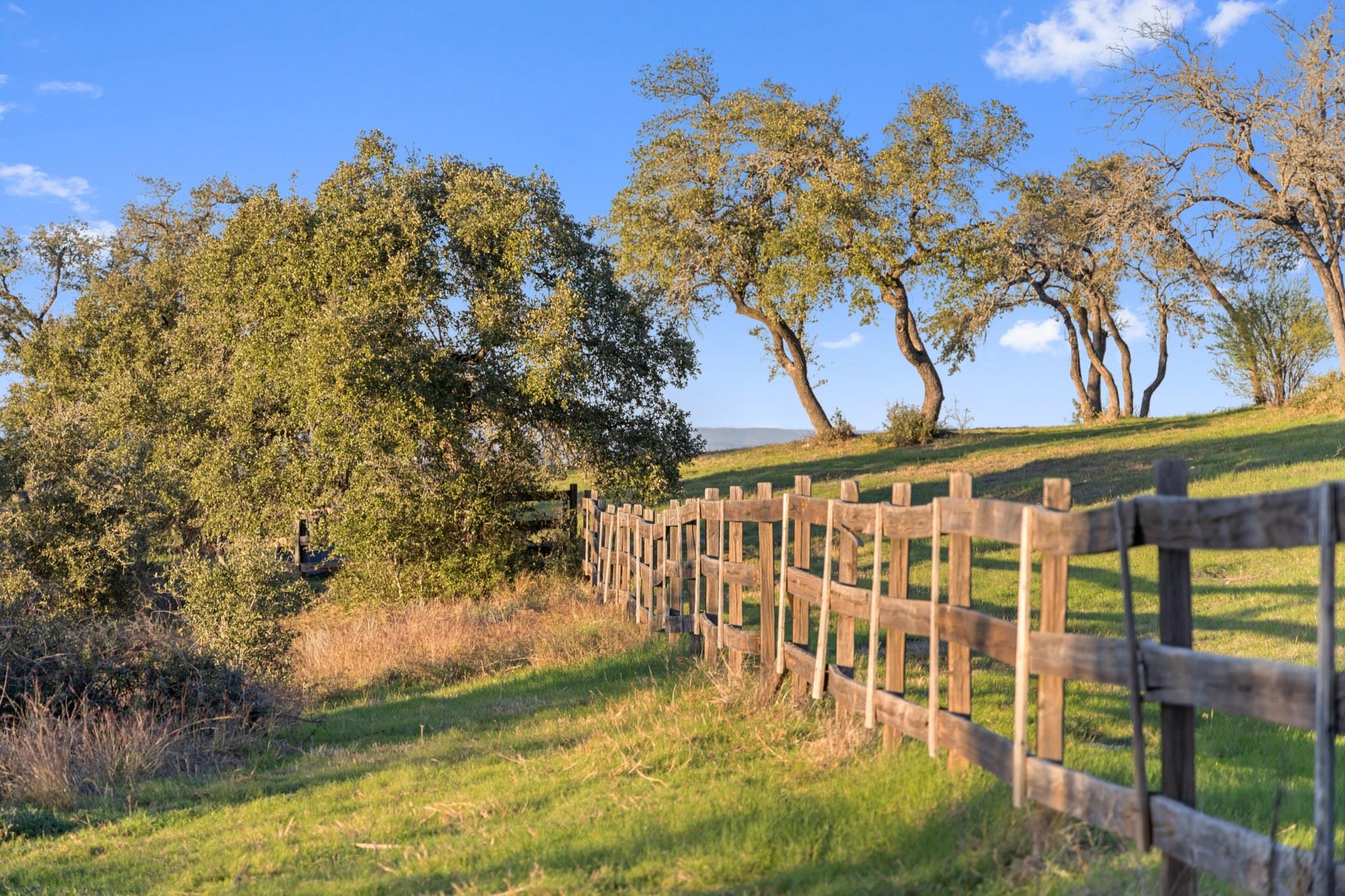 18700 Madrone Ranch Trail, Austin, TX 78738