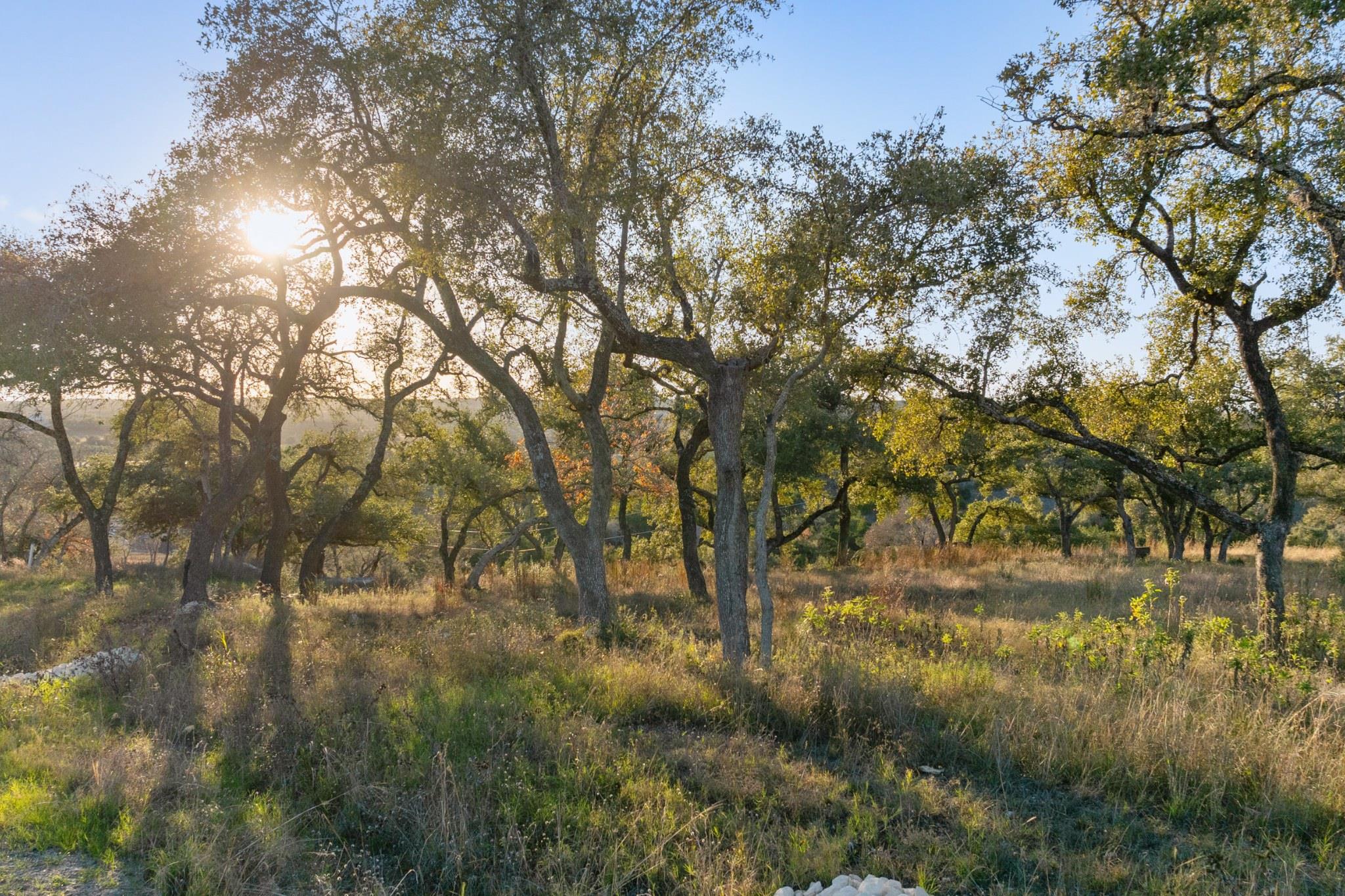 18700 Madrone Ranch Trail, Austin, TX 78738