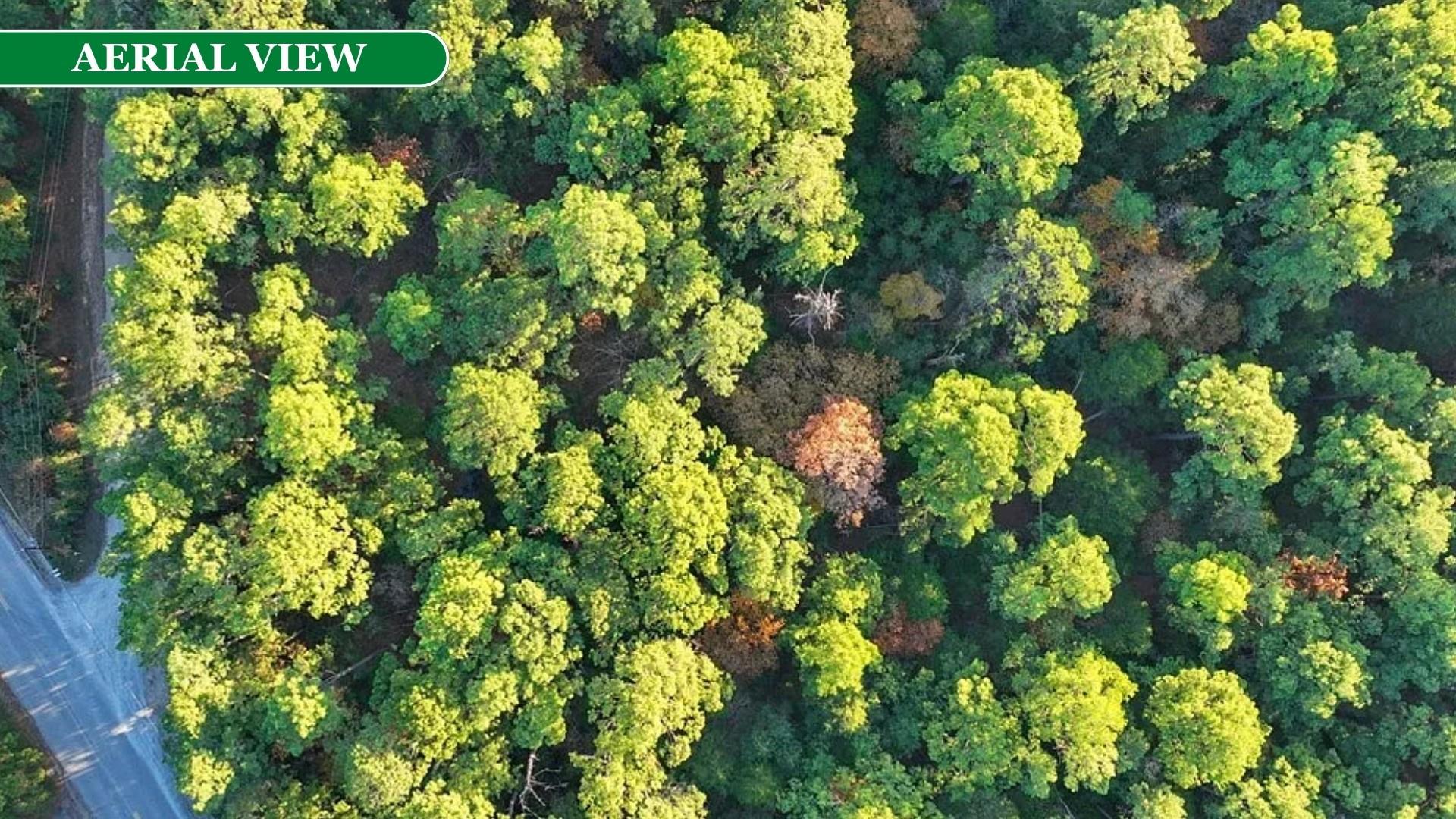 0 Makaha Dr, Bastrop, TX 78602