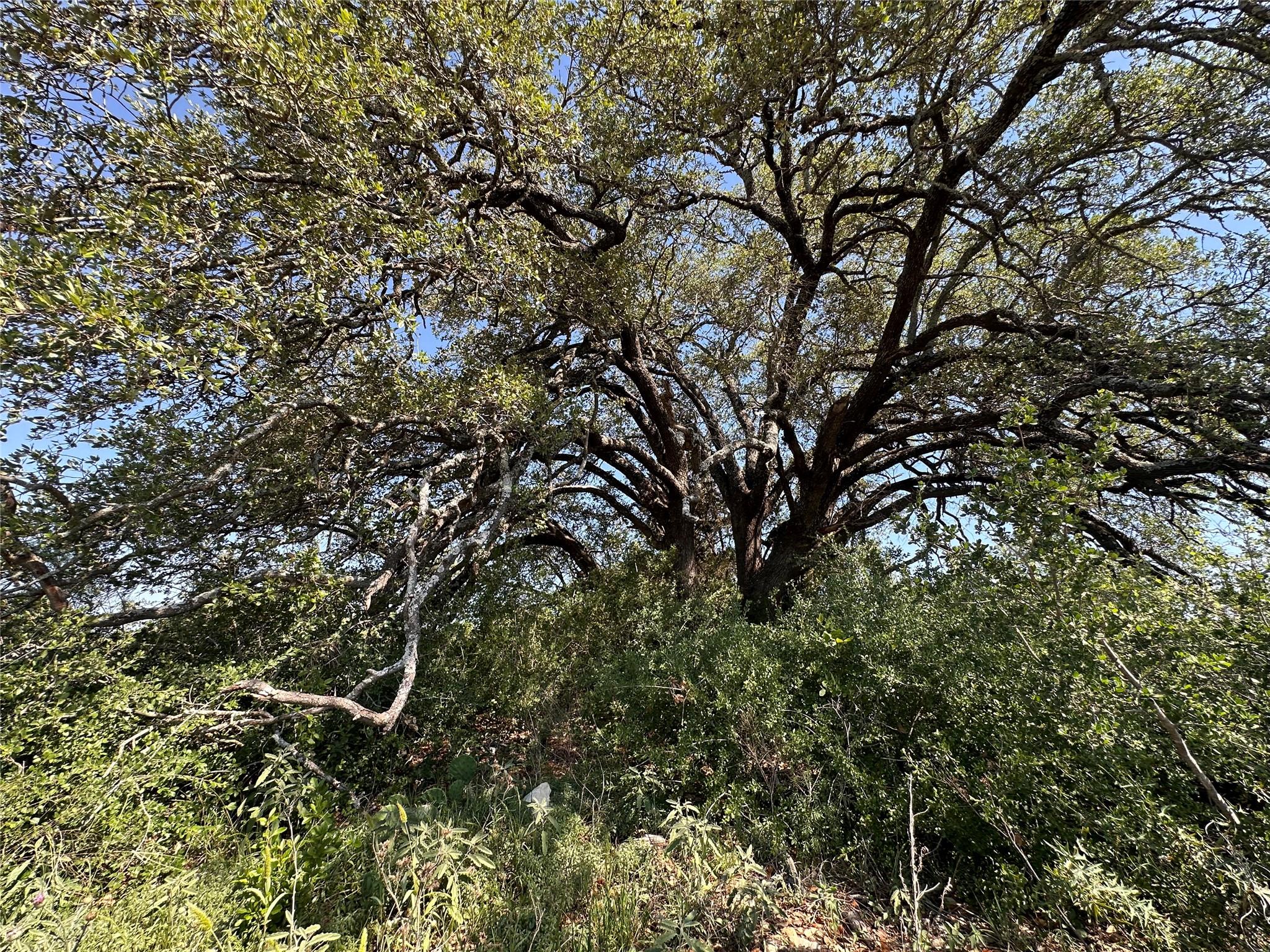 Lot 49 Serenity Dr, Bertram, TX 78605