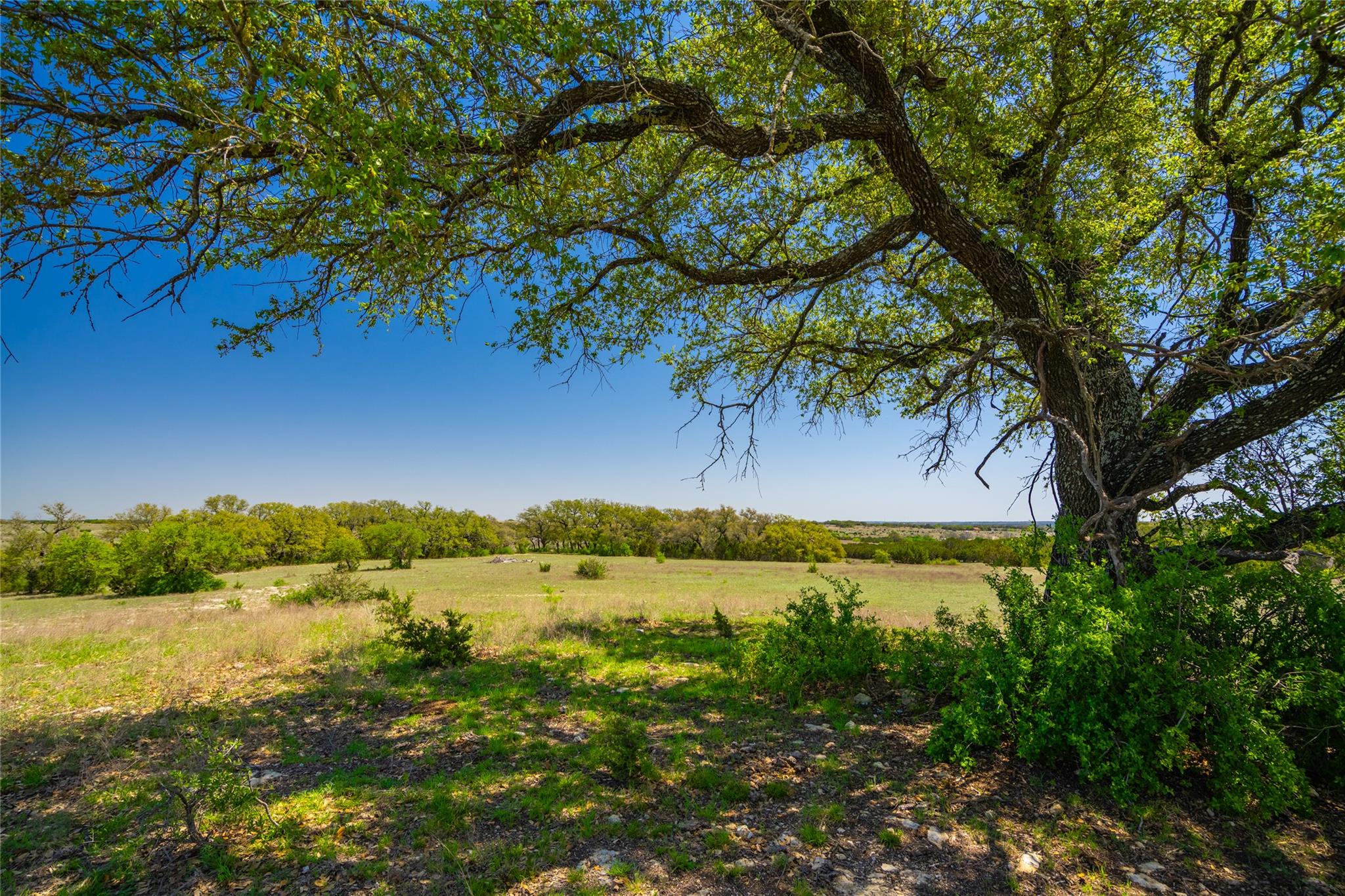 0 County Road 208, Watson, TX 76550