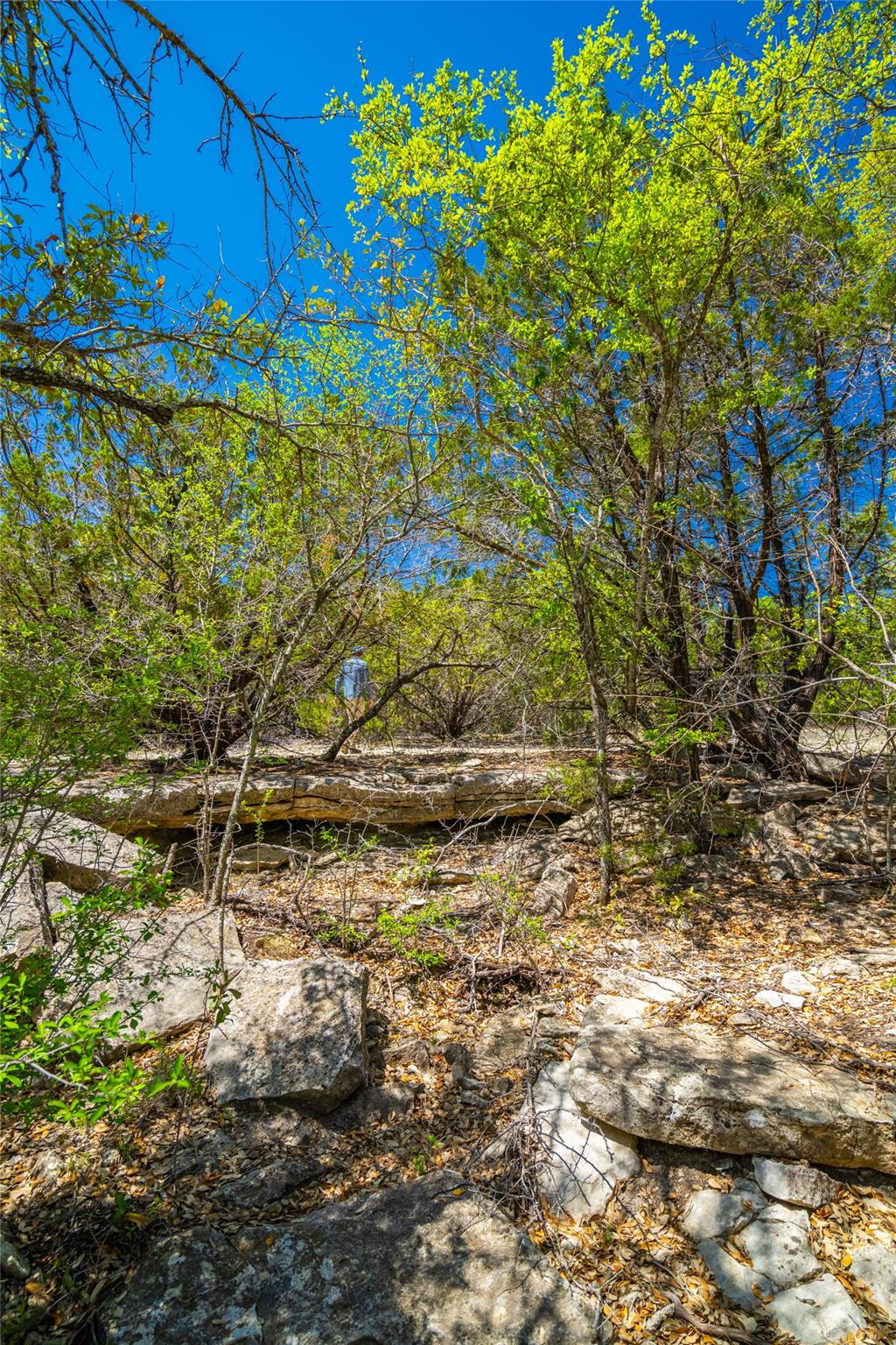 0 County Road 208, Watson, TX 76550