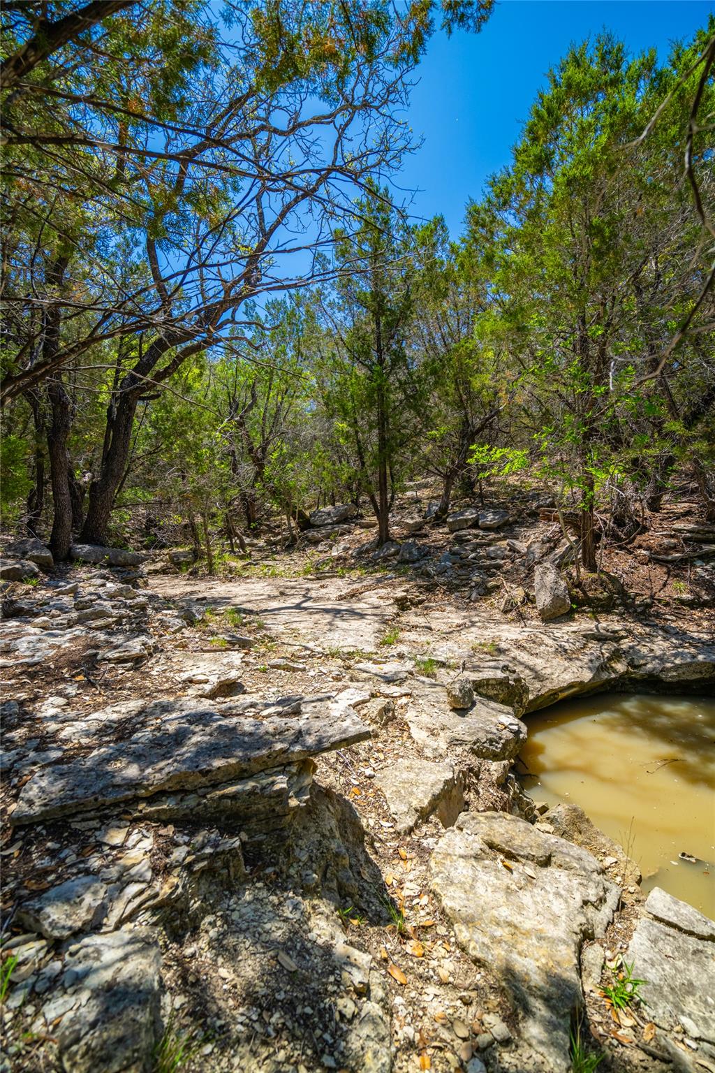 0 County Road 208, Watson, TX 76550