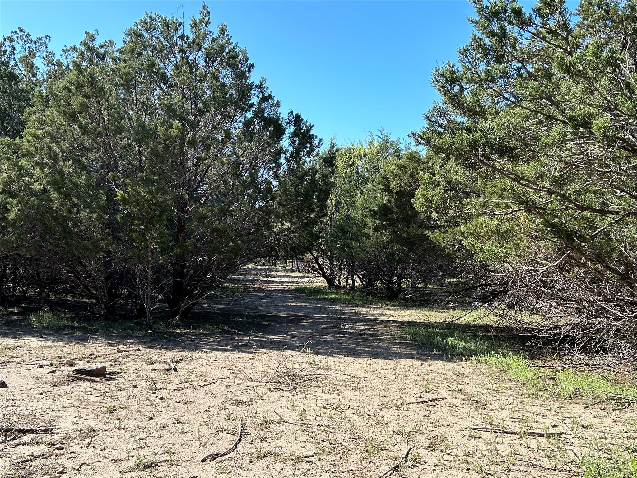 County Road 442 County Road 442, Goldthwaite, TX 76844