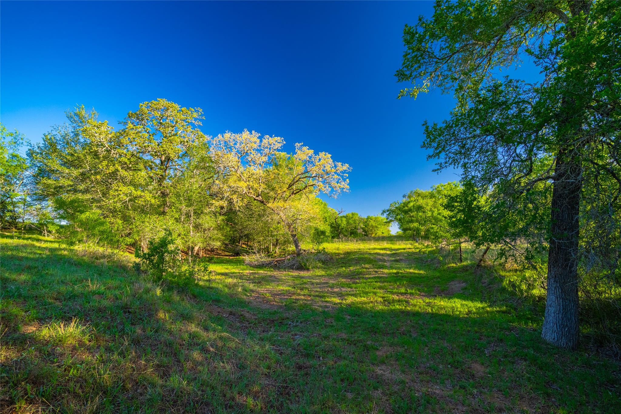 0 Highway 90, Seguin, TX 78638