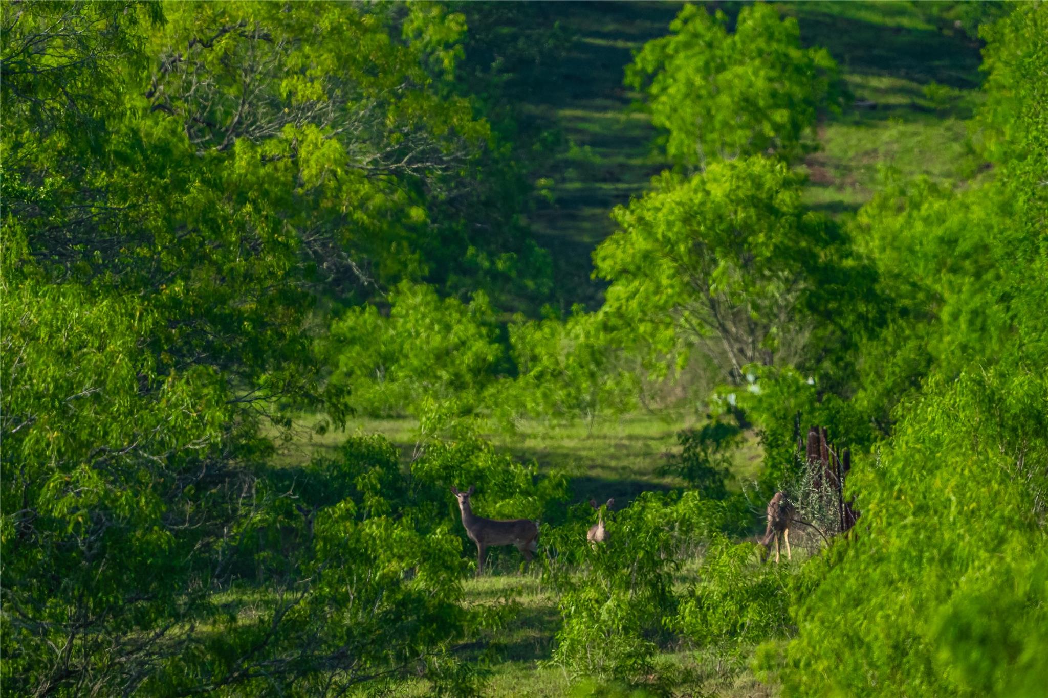 0 Highway 90, Seguin, TX 78638