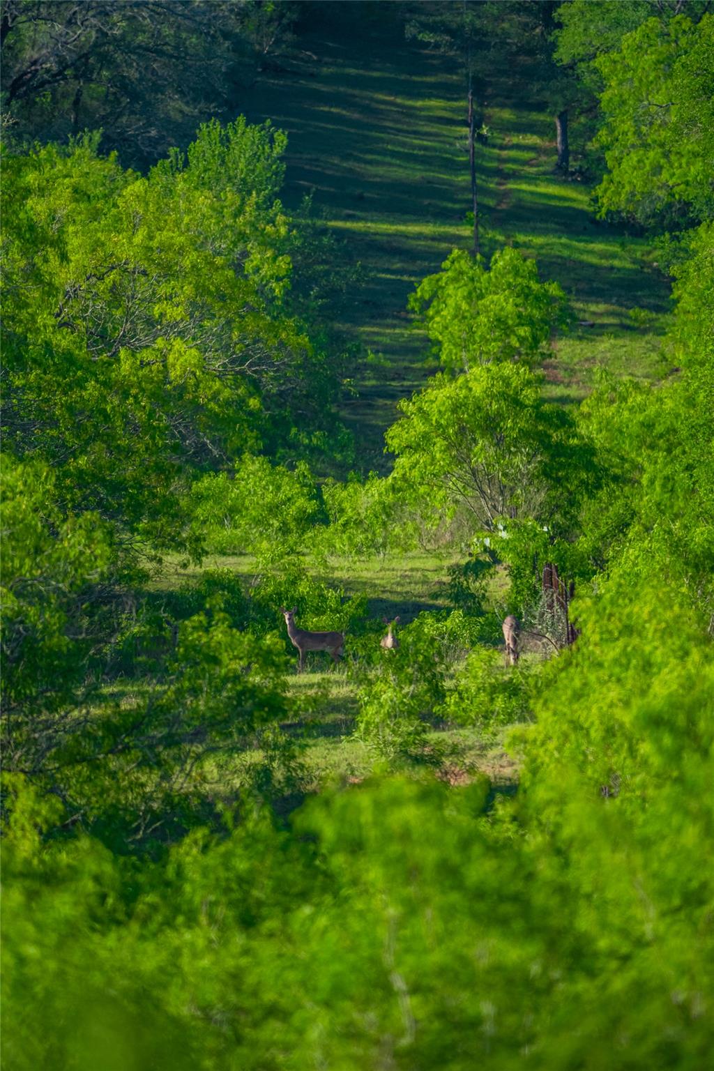 0 Highway 90, Seguin, TX 78638