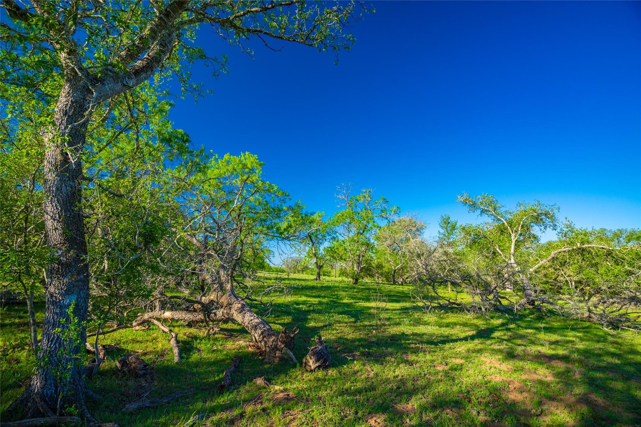 0 Highway 90, Seguin, TX 78638