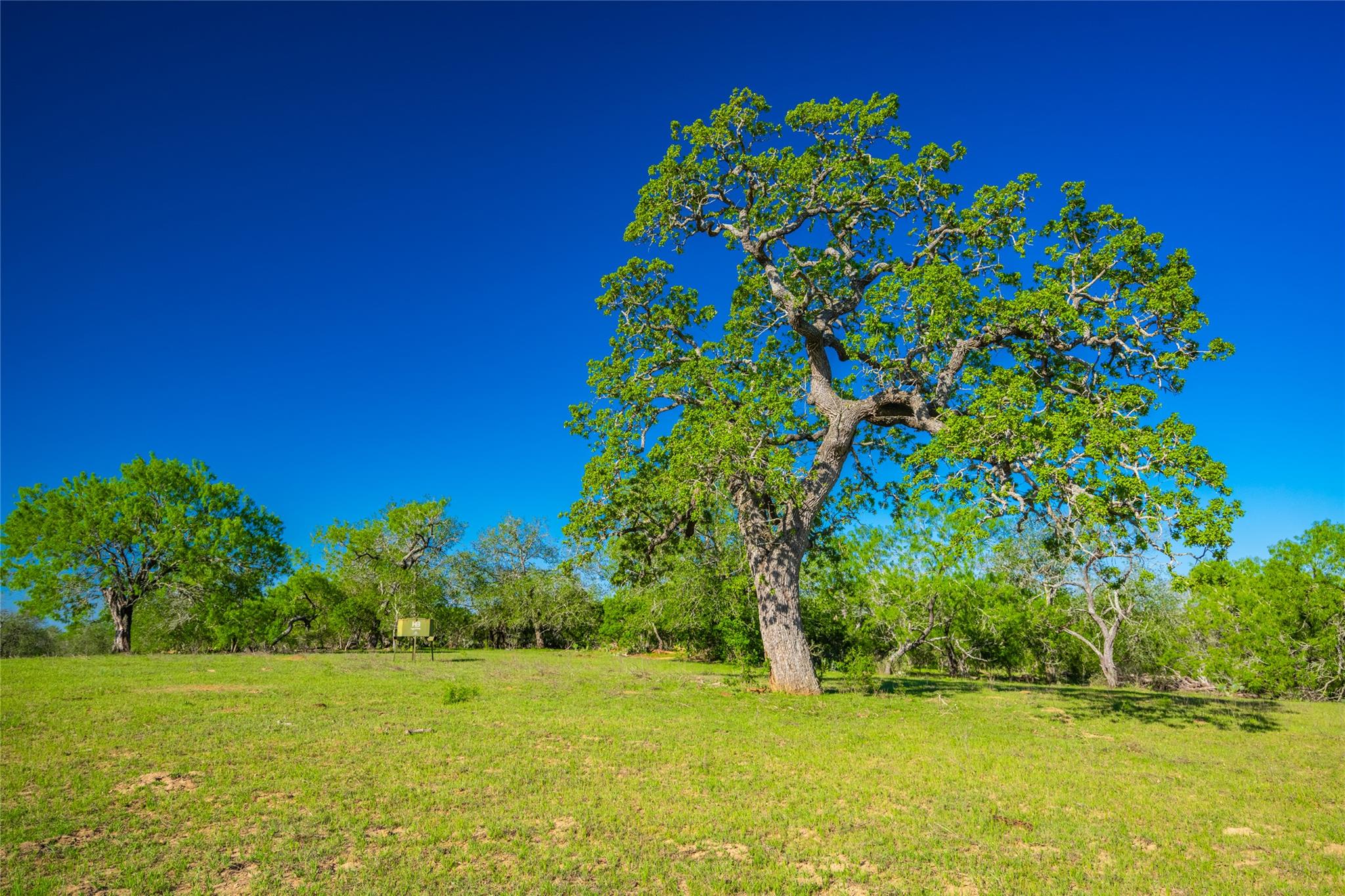 0 Highway 90, Seguin, TX 78638