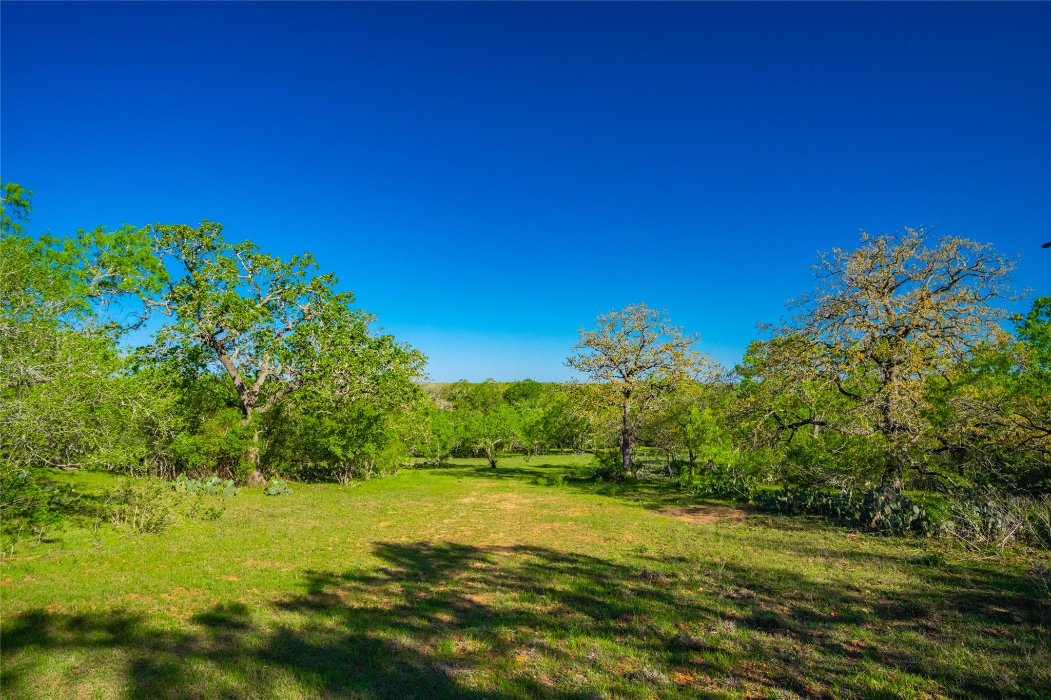 0 Highway 90, Seguin, TX 78638