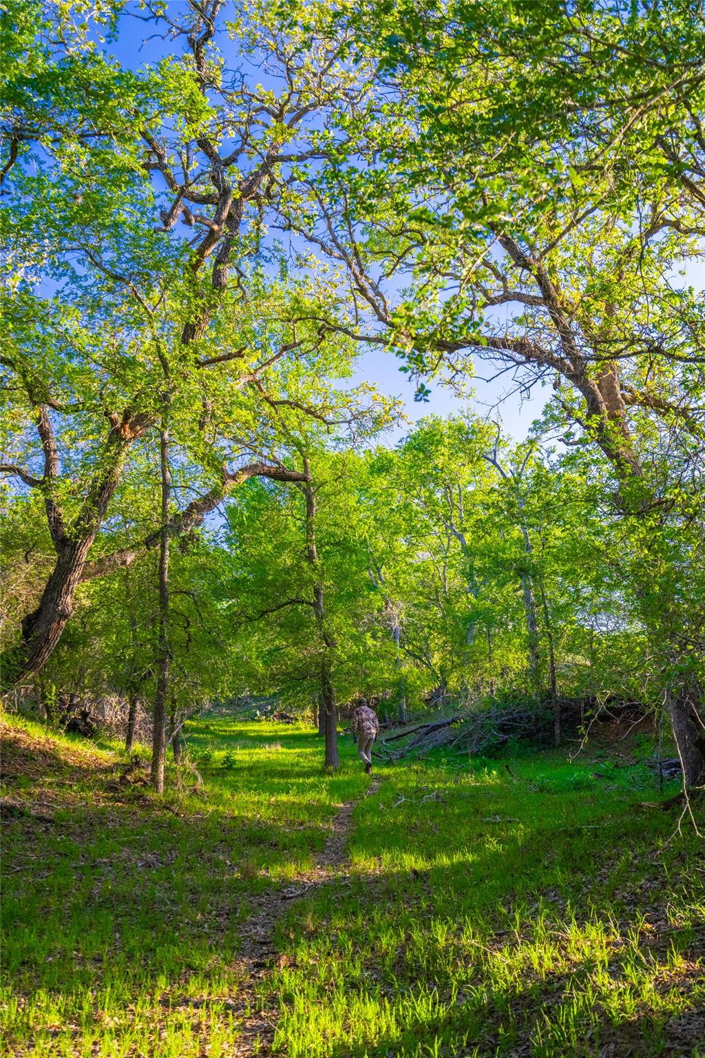 0 Highway 90, Seguin, TX 78638