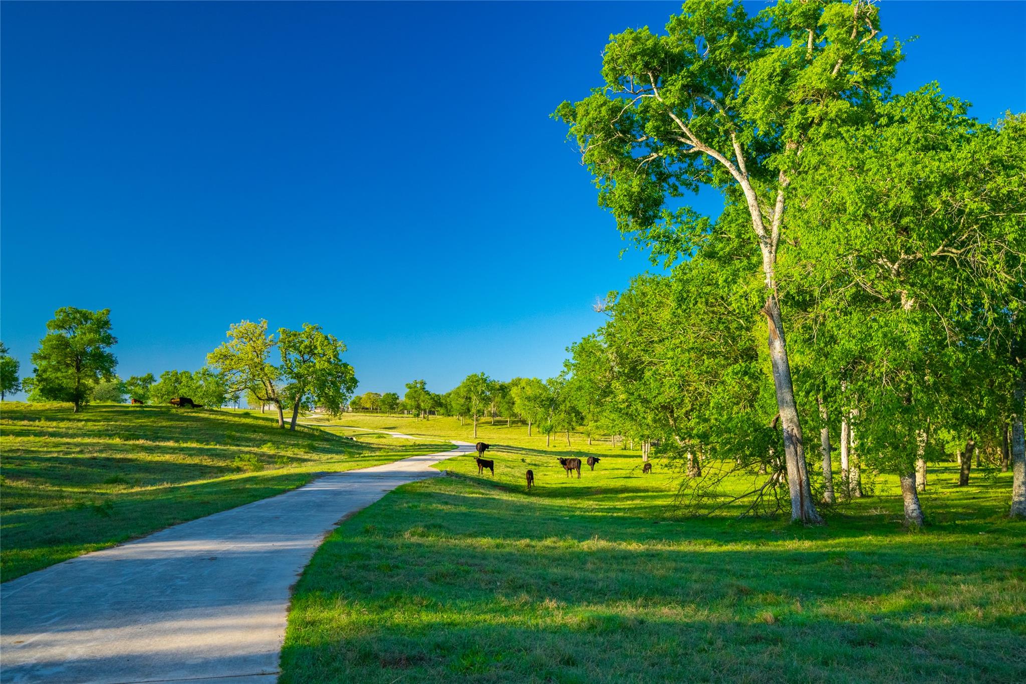 0 Highway 90, Seguin, TX 78638