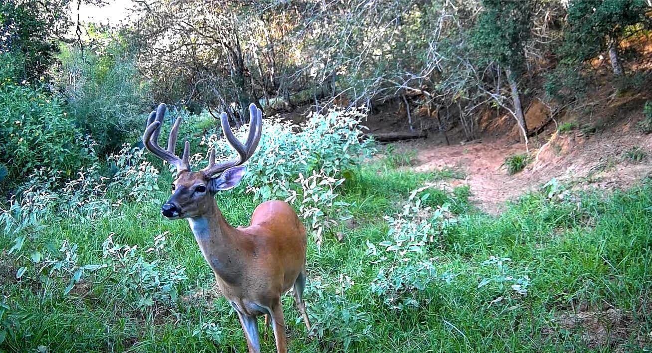 0 Highway 90, Seguin, TX 78638