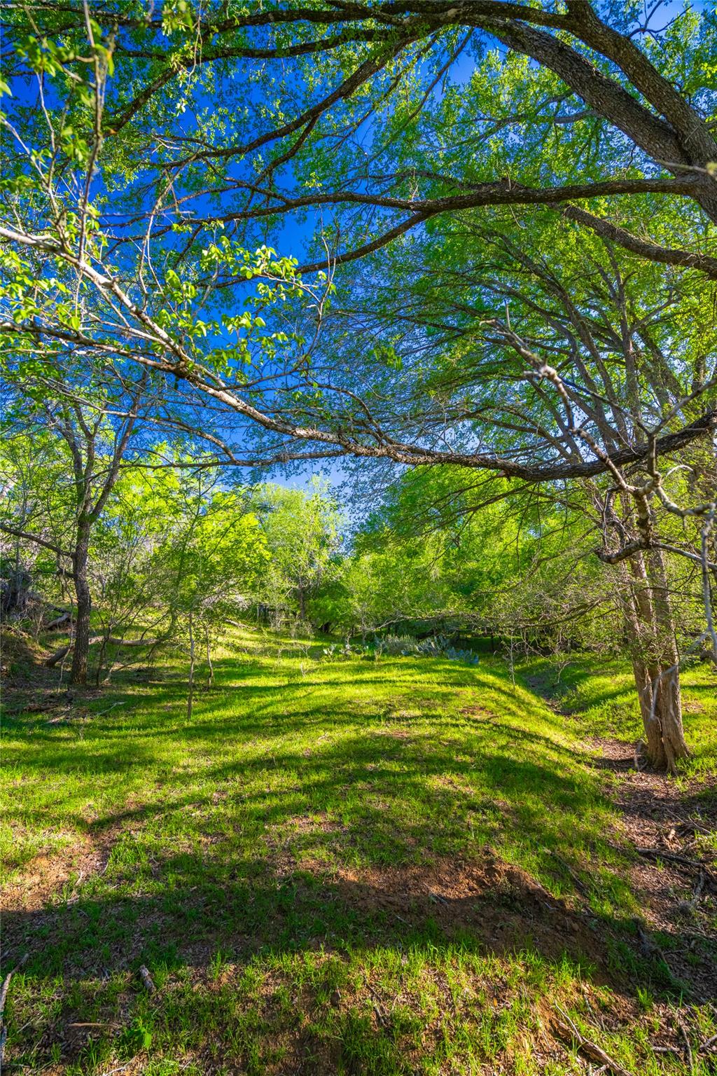 0 Highway 90, Seguin, TX 78638