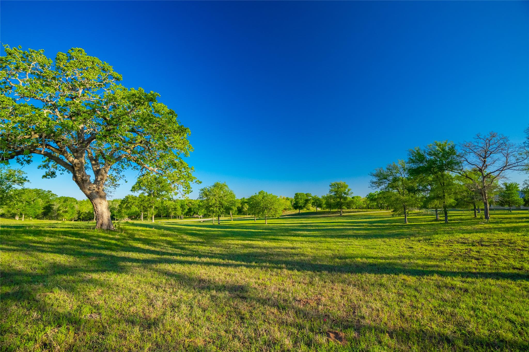 0 Highway 90, Seguin, TX 78638